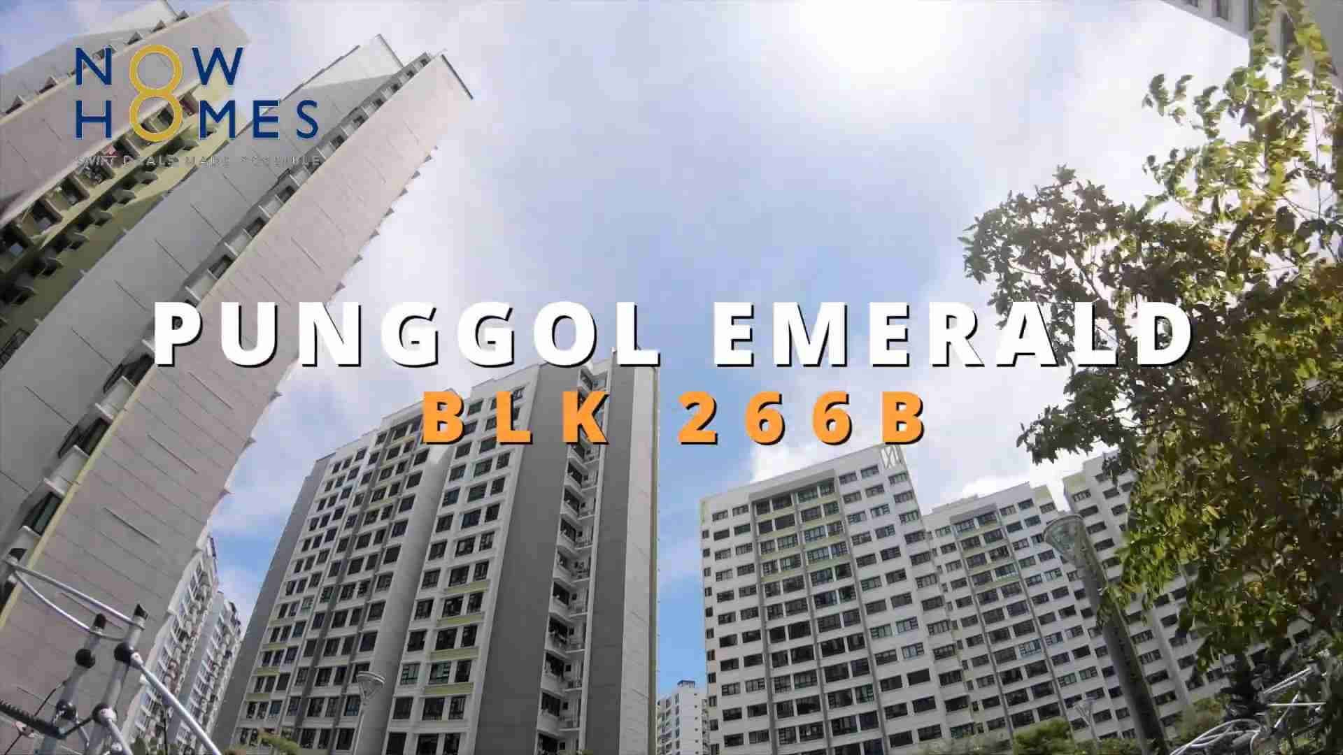 punggol property Blk 266B Punggol Way
